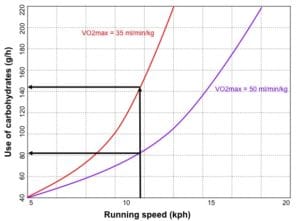 Marathon-VO2max