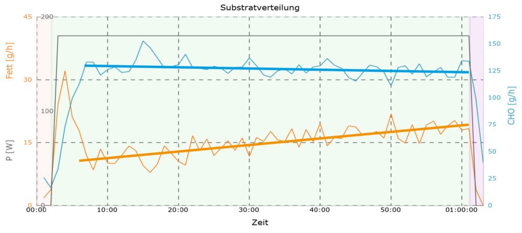 Kohlenhydrat und Fettstoffwechsel während Belastung