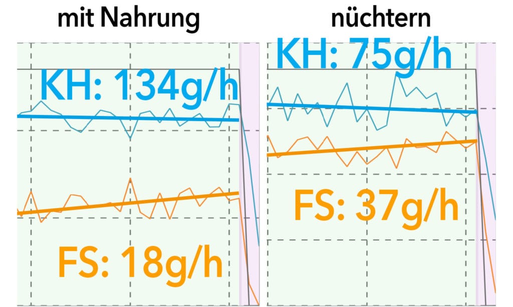 Vergleich Stoffwechsel Nüchterntraining und normale Belastung