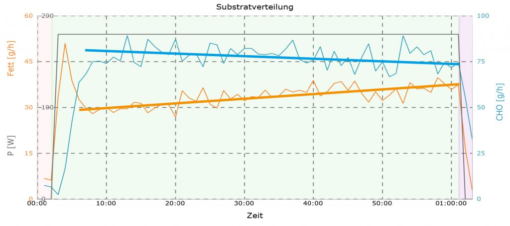 Fettstoffwechsel bei Training auf nüchternen Magen