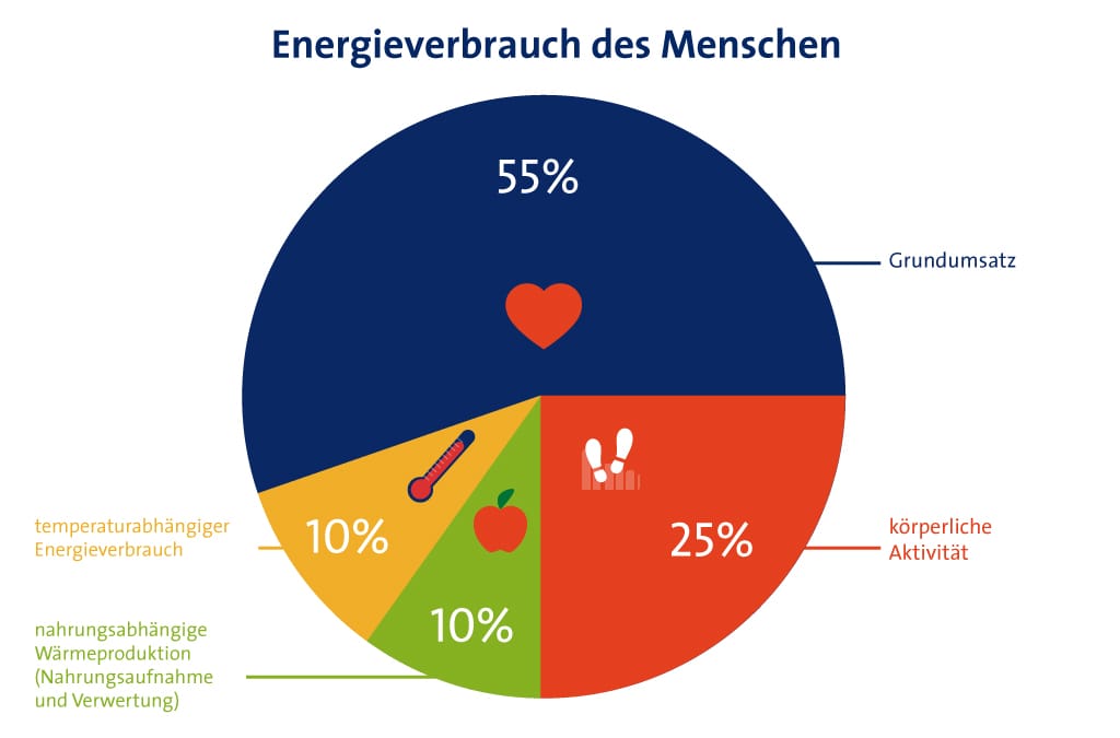Stoffwechselanalyse statt Grundumsatz berechnen Diagnose Berlin