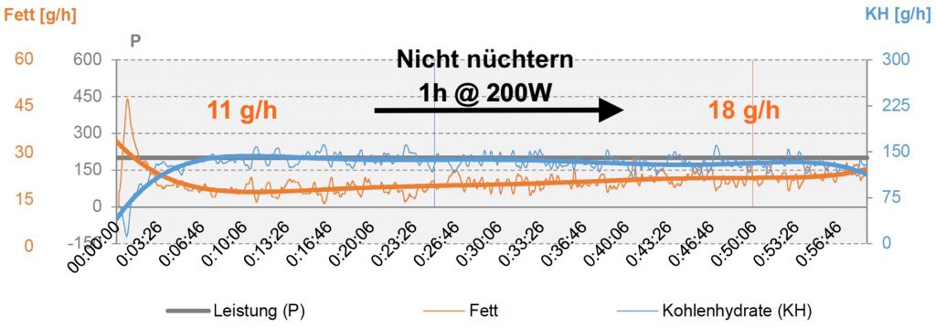 Fettverbrennung bei vorheriger Nahrungsaufnahme