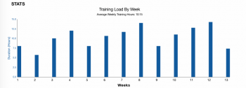 Diagnose Berlin VO2max Trainingsplan Fortgeschrittene